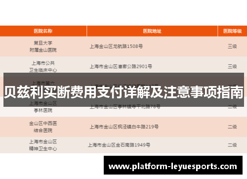 贝兹利买断费用支付详解及注意事项指南