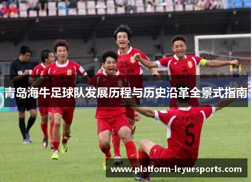 青岛海牛足球队发展历程与历史沿革全景式指南