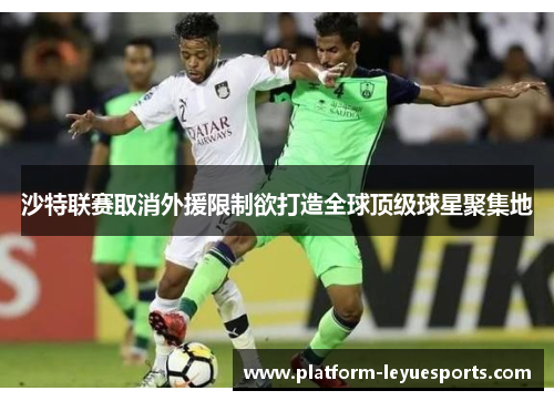 沙特联赛取消外援限制欲打造全球顶级球星聚集地 沙特联赛取消外援限制欲打造全球顶级球星聚集地
