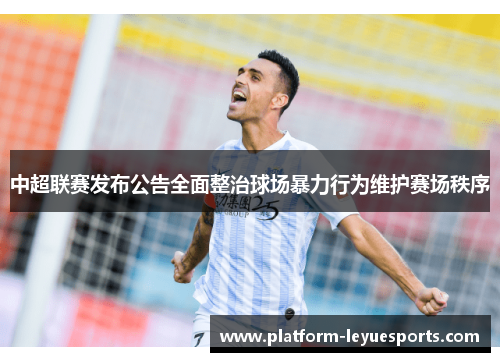 中超联赛发布公告全面整治球场暴力行为维护赛场秩序