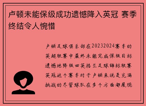 卢顿未能保级成功遗憾降入英冠 赛季终结令人惋惜 卢顿未能保级成功遗憾降入英冠 赛季终结令人惋惜